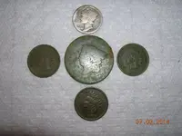DSCN6022.webp