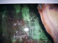 149.webp 149.webp