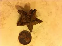 image-858170397.webp