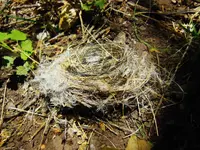DSCN4433.webp