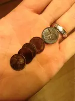 image-3193077274.webp