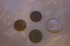 CIMG0830.webp CIMG0830.webp