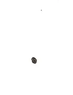 EPSON004.webp EPSON004.webp