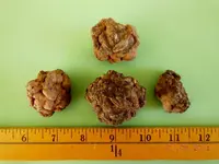 DSCN4282.webp