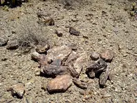 DSC00249-2.webp