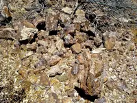 DSC00217-2.webp