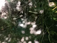 image-3948341850.webp