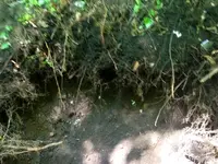 image-3037088293.webp