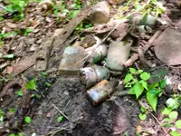image-3053029209.webp