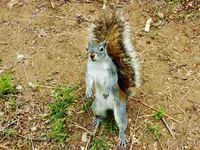 RSCN2237.webp