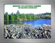 WILDERNESS SCENE SILVER SF (GR-DOTS).webp