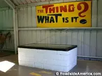 AZDRAthing_1157.webp