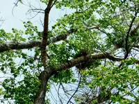 DSCN1848.webp