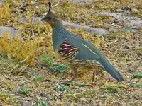 FSCN3255.webp