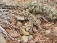 Folder #1 185.webp