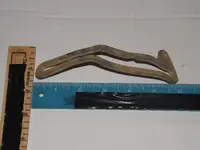DSCF7232.webp