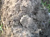 100_2533.webp