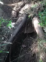 image-196784998.webp
