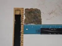 DSCF7239.webp