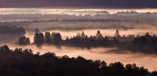 panorama-125-3.webp