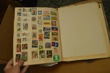 DSC_0299.webp