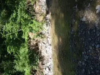 photo1.webp