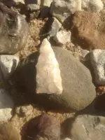 image-1556282702.webp