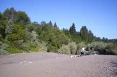 000_1198[1].webp