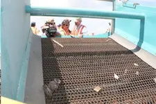 beach clean1.webp