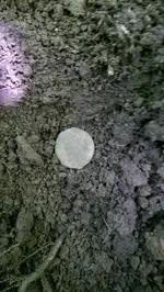 IMAG0010 - Copy.webp