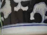 close up.webp close up.webp
