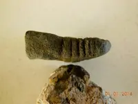 DSCN4022.webp