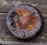 button back.webp