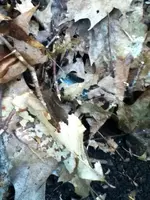 image-469002084.webp