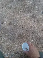 PART_1402789711061.webp