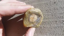Agate-OS.webp