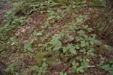 DSC_0016.webp