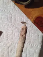 image-1785200837.webp