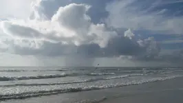 beach2.webp