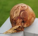 Burl 33.webp