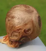 Burl 44.webp