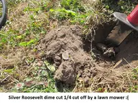 Park Finds 6-14-14 001.webp