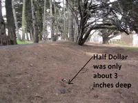 Park Finds 6-14-14 008.webp