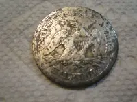 Park Finds 6-14-14 020.webp