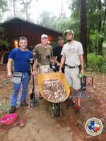 image-65460525.webp