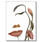 face_flower_illusion_post_card-rde141ae3d1f14d5a9bd1c39bab943556_vgbaq_8byvr_324.webp