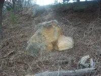 100_9800.webp