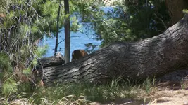 100_4547.webp
