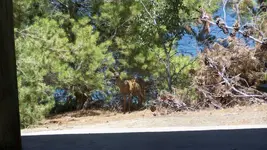100_4550.webp