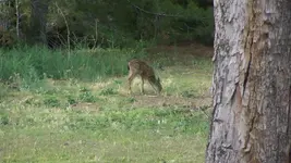 100_4561.webp